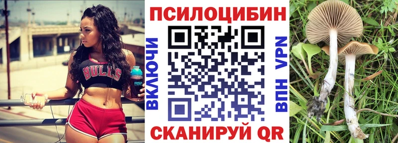 купить  цена  кракен ONION  Галлюциногенные грибы Cubensis  Дзержинск 