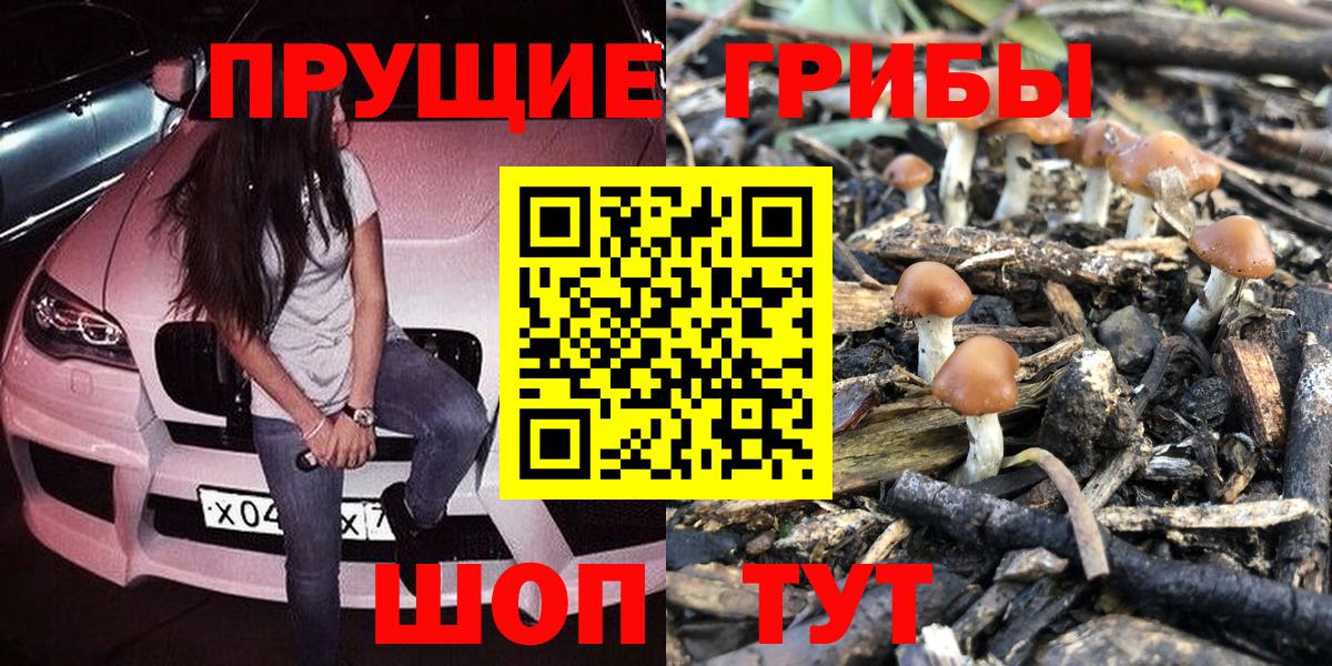 Псилоцибиновые грибы прущие грибы Дзержинск