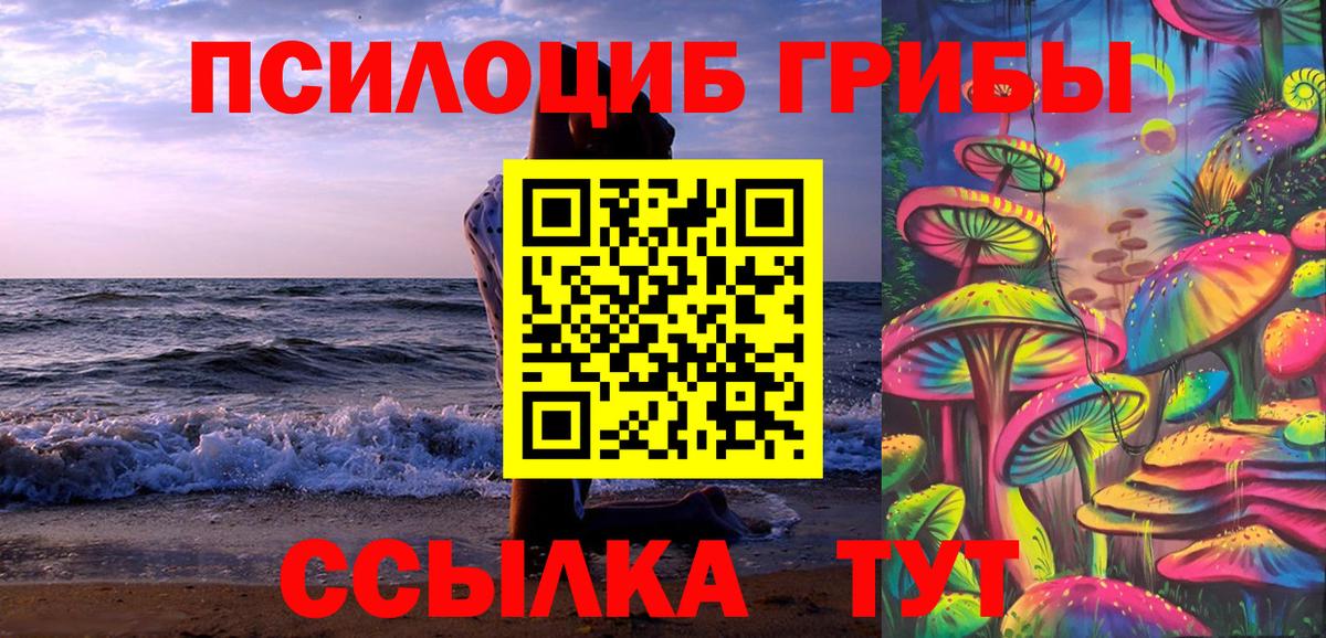 Псилоцибиновые грибы Psilocybe  даркнет сайт  Дзержинск  Вход с VPN 